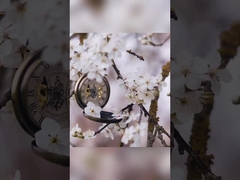 لیلی رز اسمانتوس دندان های سفید کننده خمیر دندان در بسته بندی کاغذ سفید 400 گرم